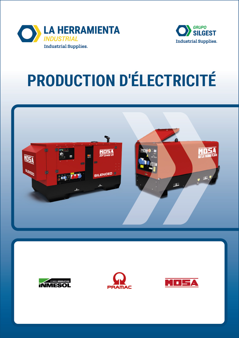 04_ptd_lhi_gnrn_elc_fr